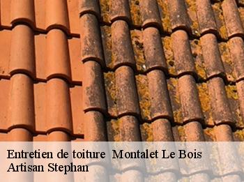 Entretien de toiture   montalet-le-bois-78440 Artisan Stephan