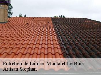 Entretien de toiture   78440