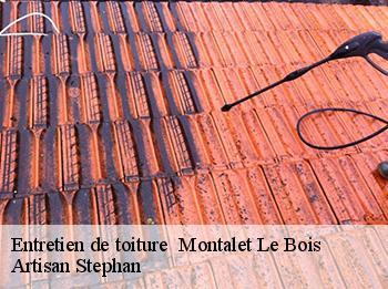 Entretien de toiture 