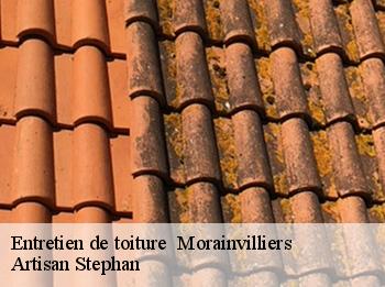 Entretien de toiture   morainvilliers-78630 Artisan Stephan