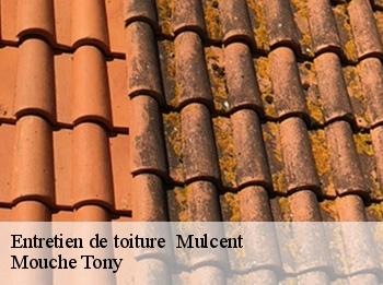 Entretien de toiture   mulcent-78790 Mouche Tony