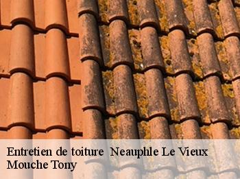 Entretien de toiture   neauphle-le-vieux-78640 Mouche Tony