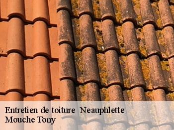 Entretien de toiture   neauphlette-78980 Mouche Tony