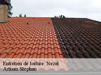 Entretien de toiture   78410