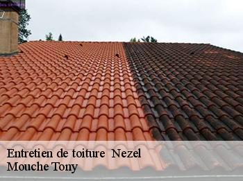 Entretien de toiture   78410