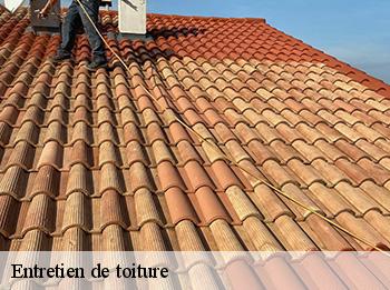 Entretien de toiture   78410