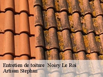 Entretien de toiture   noisy-le-roi-78590 Artisan Stephan
