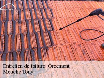 Entretien de toiture 