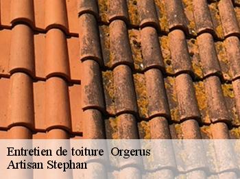 Entretien de toiture   orgerus-78910 Artisan Stephan