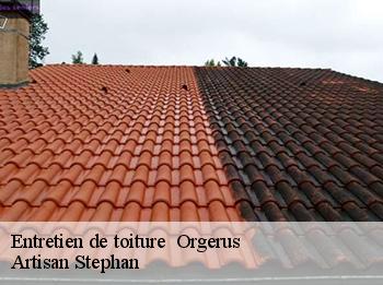 Entretien de toiture   78910