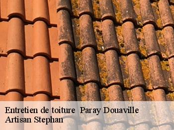 Entretien de toiture   paray-douaville-78660 Artisan Stephan