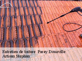 Entretien de toiture 