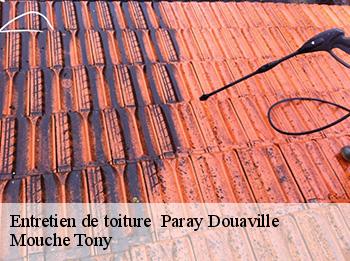 Entretien de toiture