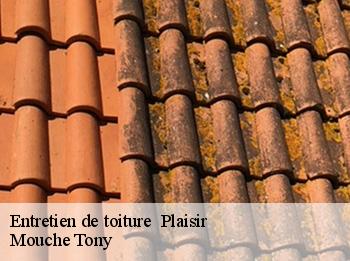 Entretien de toiture   plaisir-78370 Mouche Tony