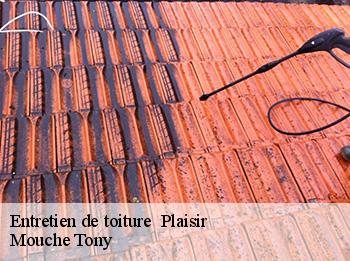 Entretien de toiture 