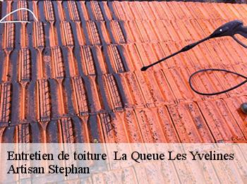 Entretien de toiture 