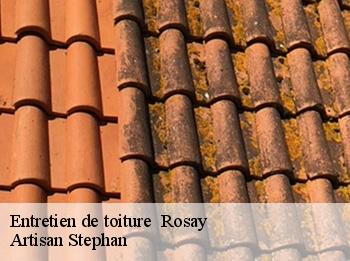 Entretien de toiture   rosay-78790 Artisan Stephan