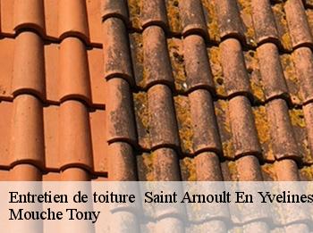 Entretien de toiture saint-arnoult-en-yvelines-78730 Mouche Tony