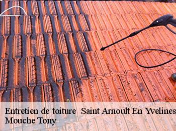 Entretien de toiture