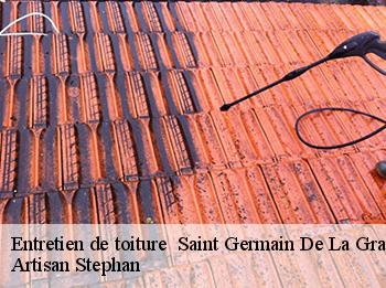 Entretien de toiture 