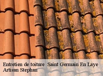 Entretien de toiture   saint-germain-en-laye-78100 Artisan Stephan