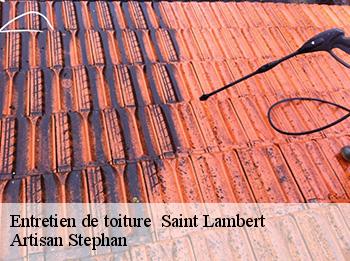 Entretien de toiture 