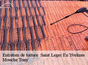 Entretien de toiture