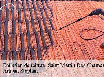 Entretien de toiture 