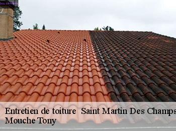 Entretien de toiture   78790