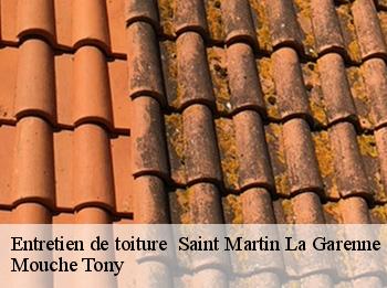 Entretien de toiture   saint-martin-la-garenne-78520 Mouche Tony
