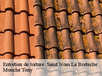 Entretien de toiture   saint-nom-la-breteche-78860 Mouche Tony