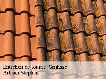 Entretien de toiture   senlisse-78720 Artisan Stephan