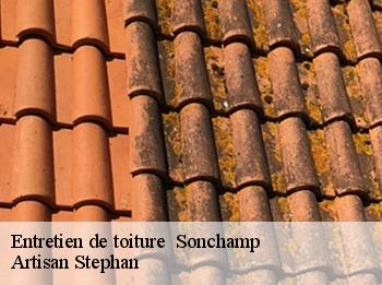 Entretien de toiture   sonchamp-78120 Artisan Stephan