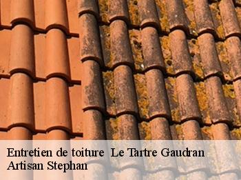 Entretien de toiture   le-tartre-gaudran-78113 Artisan Stephan