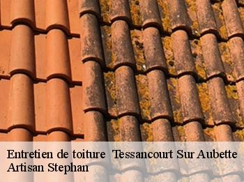Entretien de toiture   tessancourt-sur-aubette-78250 Artisan Stephan