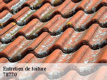 Entretien de toiture   78770