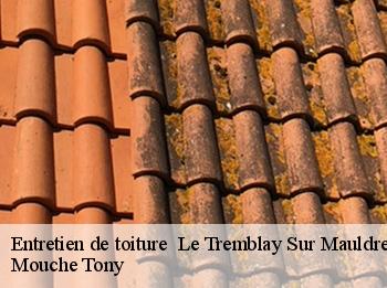 Entretien de toiture   le-tremblay-sur-mauldre-78490 Mouche Tony