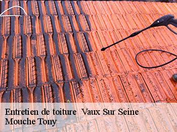 Entretien de toiture