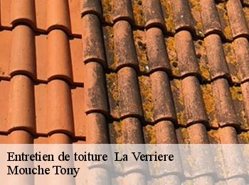 Entretien de toiture la-verriere-78320 Mouche Tony