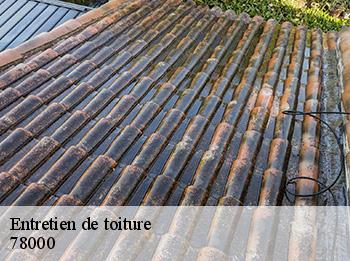 Entretien de toiture 