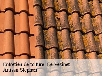 Entretien de toiture   le-vesinet-78110 Artisan Stephan