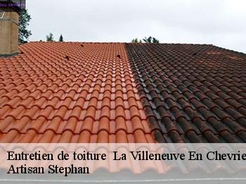 Entretien de toiture   78270