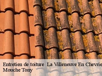 Entretien de toiture   la-villeneuve-en-chevrie-78270 Mouche Tony
