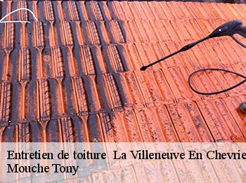 Entretien de toiture