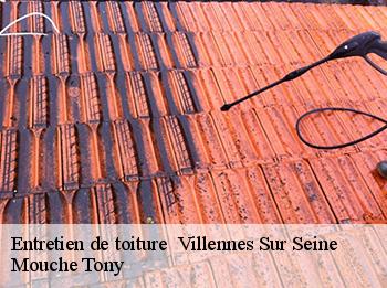 Entretien de toiture 