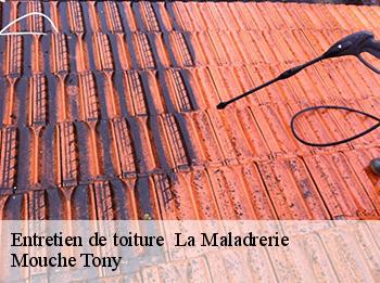 Entretien de toiture 