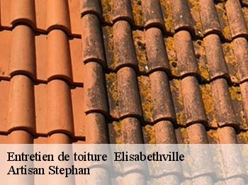 Entretien de toiture   elisabethville-78410 Artisan Stephan