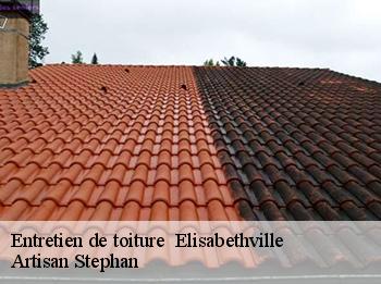 Entretien de toiture   78410