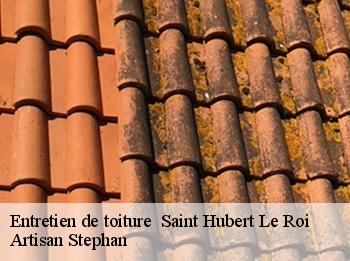 Entretien de toiture   saint-hubert-le-roi-78690 Artisan Stephan