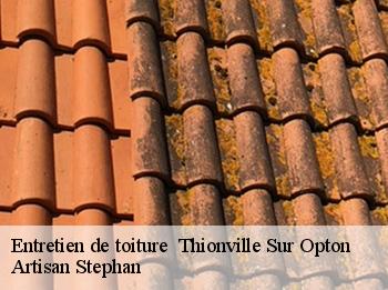 Entretien de toiture   thionville-sur-opton-78550 Artisan Stephan